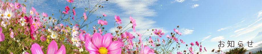 児玉歯科について画像